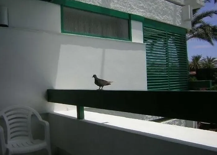 Apartment Maba Playa Playa del Ingles (Gran Canaria)